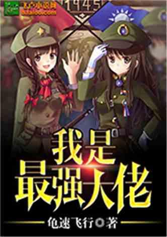 国标两爪插头能插美标插座吗？游戏画面
