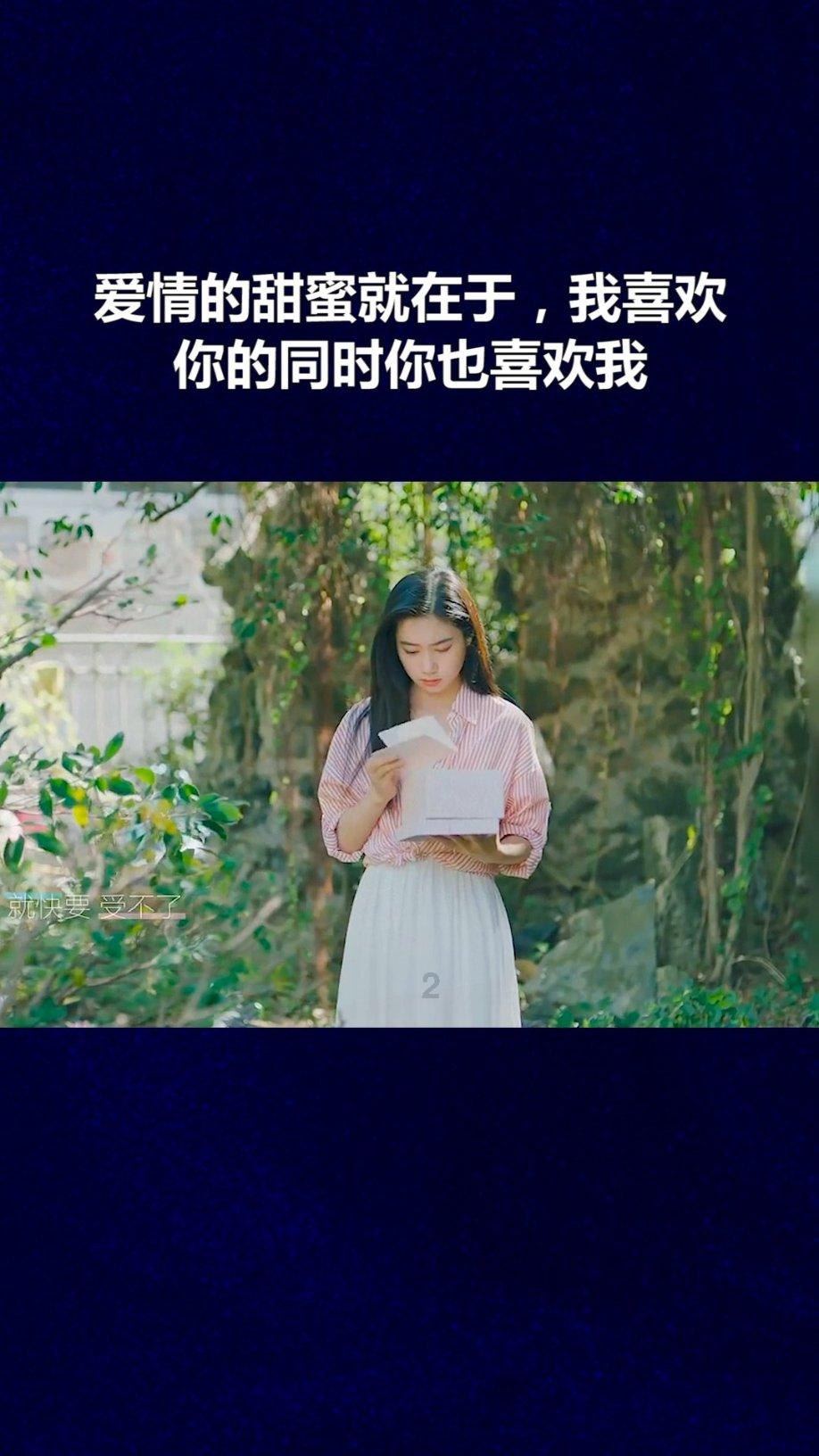 临牌不是“护身符”!新车闯红灯酿事故 交警:全责!